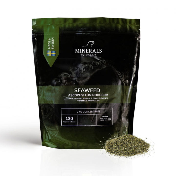 minerals-by-nordic-seaweed-ascophyllum-nodosum-dla-koni-i-kucy-2kg-koncentrat-z-alg-morskich