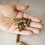 przysmaki-dla-koni-mini-apple-carrot-pellet-w-dloni-zblizenie