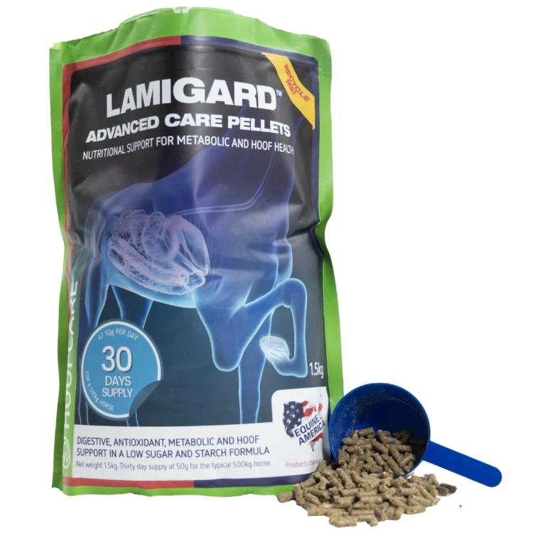 LamiGard Advanced Care Pellets dla koni 1,5 kg Equine America – opakowanie z granulatem i miarką