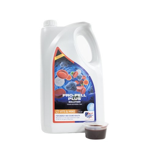 Pro-Pell Plus 5L płynna witamina i minerały dla koni – suplement witaminowo-mineralny Equine America
