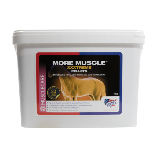 More Muscle XXXtreme Pellets 10 kg – pasza uzupełniająca dla koni wspierająca rozwój mięśni, ich definicję, kondycję oraz zdrowy, lśniący wygląd sierści.